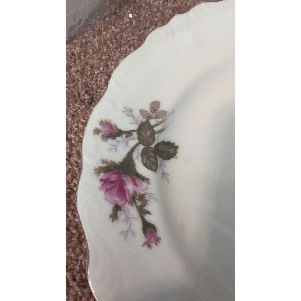 Vintage Floral Patterned Porcelain Dinner Plate Set UNMARKED